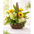 Bright Future – Sunflower Graduation Basket