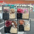 Cuddly Love – Teddy Bear & Rose Gift Box